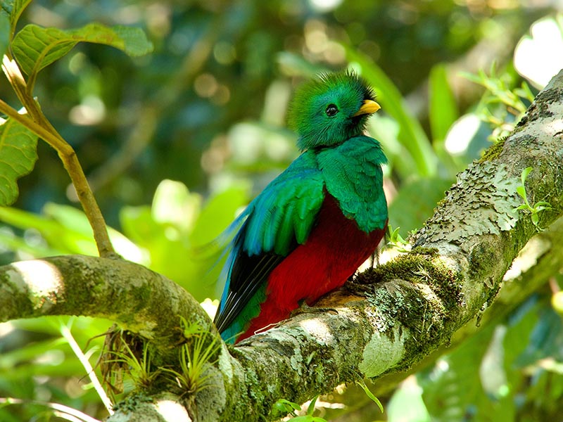 Voyage au Costa Rica du Groupe de Bernard C.