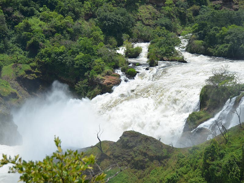 Voyage en Ouganda de François-Xavier E.