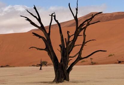 Voyage en Namibie de Virginie L.