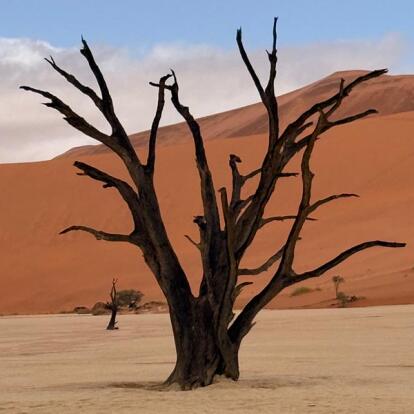 Voyage en Namibie de Virginie L.