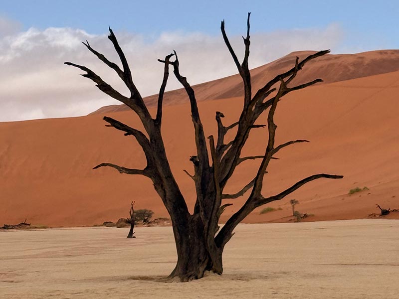 Voyage en Namibie de Virginie L.