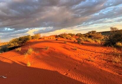 Voyage en Namibie de Virginie L.