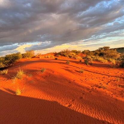 Voyage en Namibie de Virginie L.
