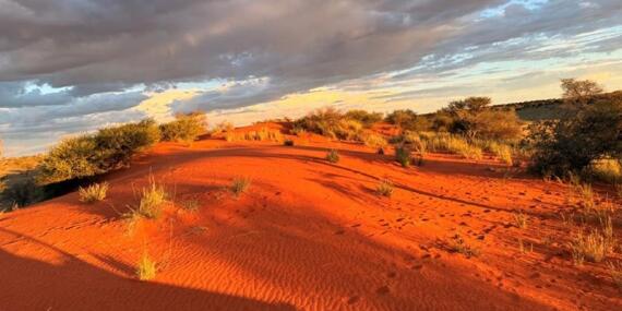 Voyage en Namibie de Virginie L.