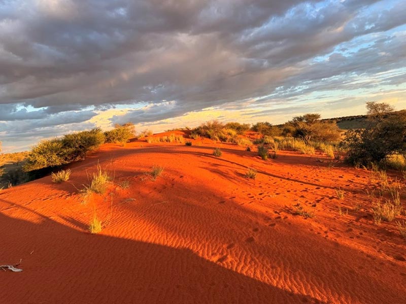 Voyage en Namibie de Virginie L.