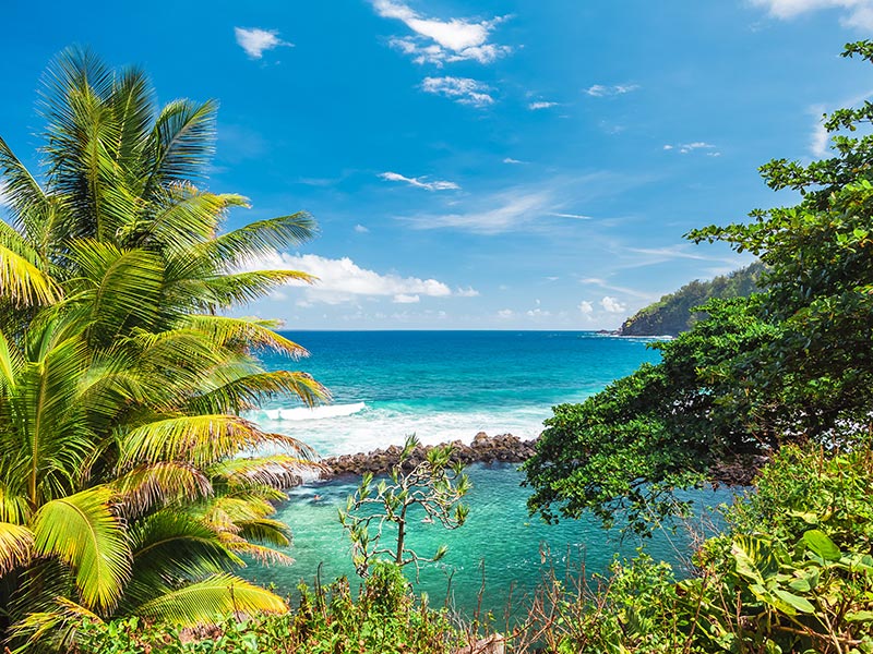 Voyage à La Réunion de Sophie er Alain B.