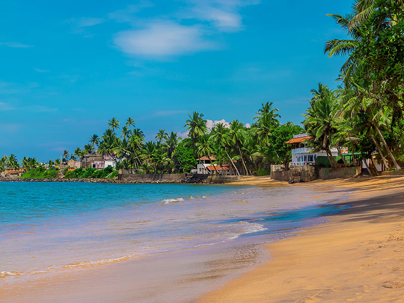 Voyage au Sri Lanka de Jérôme L