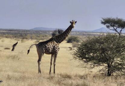 Voyage en Namibie d'Hélène G.