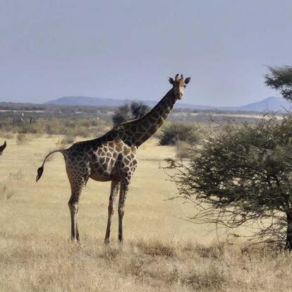 Voyage en Namibie d'Hélène G.