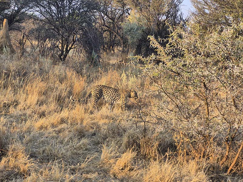 Voyage en Namibie d'Hélène G.