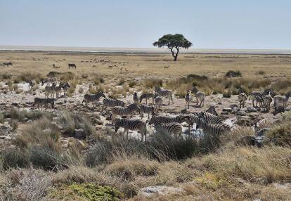 Voyage en Namibie d'Hélène G.