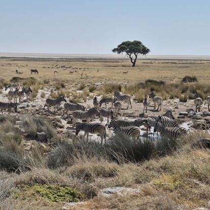 Voyage en Namibie d'Hélène G.