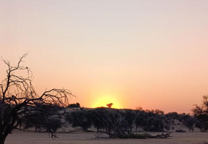 Voyage en Namibie de Liliane D.