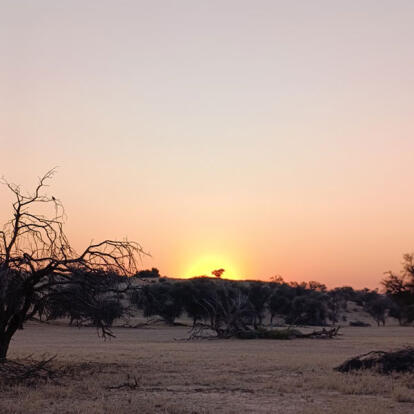Voyage en Namibie de Liliane D.