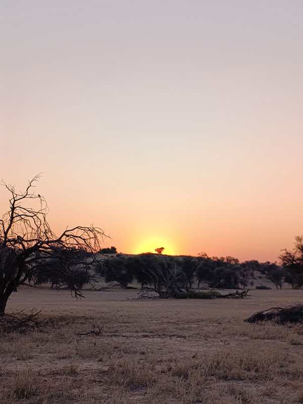 Voyage en Namibie de Liliane D.