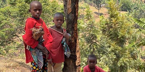 Voyage au Rwanda du Groupe de Patricia C.