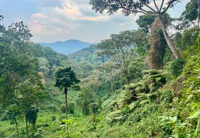 Voyage au Rwanda du Groupe de Patricia C.