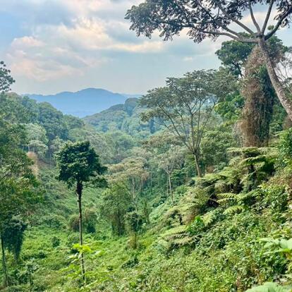 Voyage au Rwanda du Groupe de Patricia C.