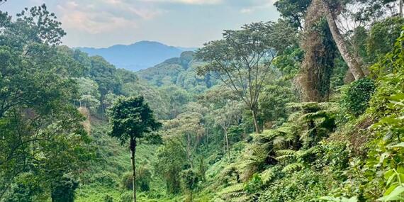 Voyage au Rwanda du Groupe de Patricia C.