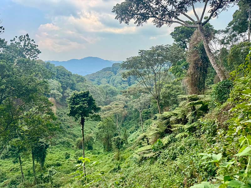 Voyage au Rwanda du Groupe de Patricia C.