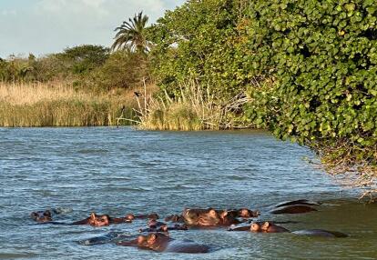 Voyage en Afrique du Sud de la famille de Nathalie B.