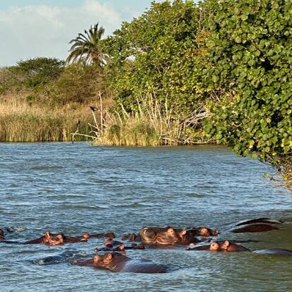 Voyage en Afrique du Sud de la famille de Nathalie B.