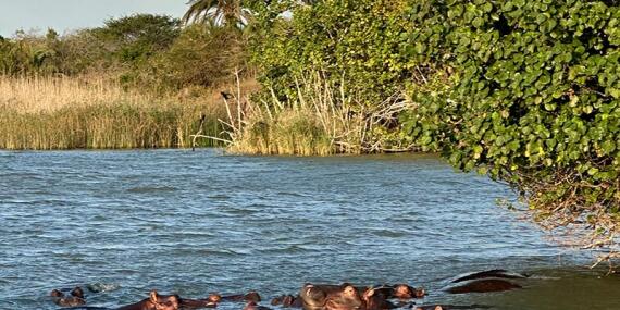 Voyage en Afrique du Sud de la famille de Nathalie B.