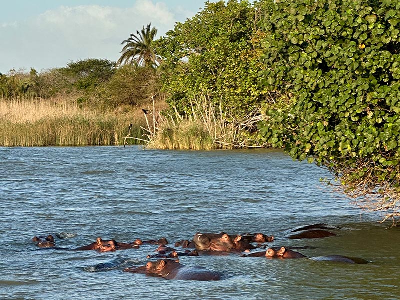 Voyage en Afrique du Sud de la famille de Nathalie B.