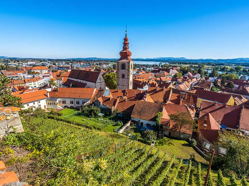 Voyage en Slovénie de Robert SA