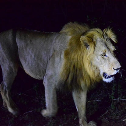 Voyage en Afrique du Sud de Camille H.