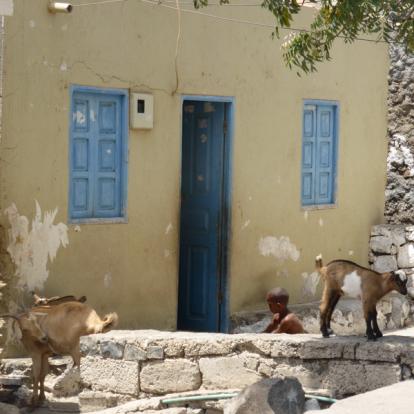 Voyage au Cap Vert de Nicole