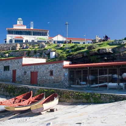 A Découvrir en Afrique du Sud - Hermanus