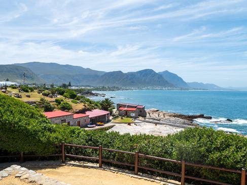 A Découvrir en Afrique du Sud - Hermanus