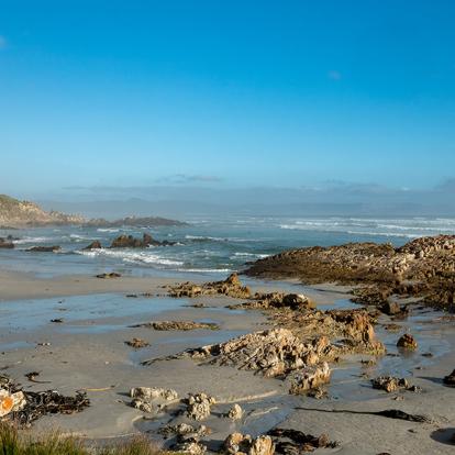 A Découvrir en Afrique du Sud - Hermanus