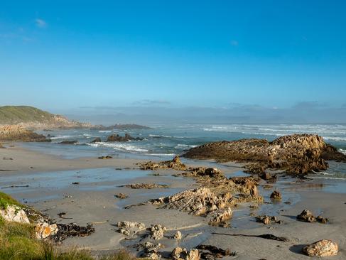 A Découvrir en Afrique du Sud - Hermanus