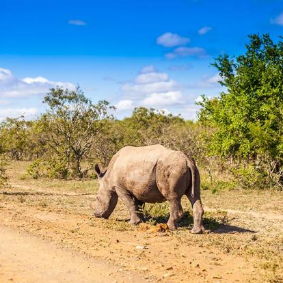 A Découvrir en Afrique du Sud - La Réserve d'Hluhluwe-Imfolozi