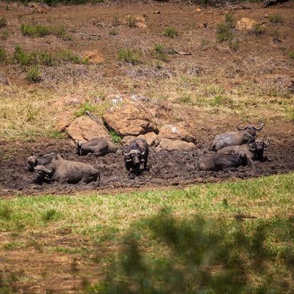 Réserve d'Hluhluwe-Imfolozi A Découvrir en Afrique du Sud - La Réserve d'Hluhluwe-Imfolozi