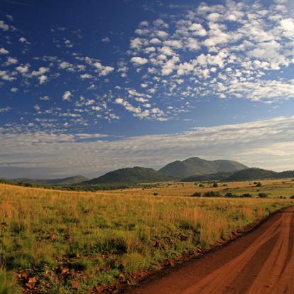 A Découvrir en Afrique du Sud - Le Parc National de Pilanesberg