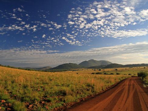 A Découvrir en Afrique du Sud - Le Parc National de Pilanesberg