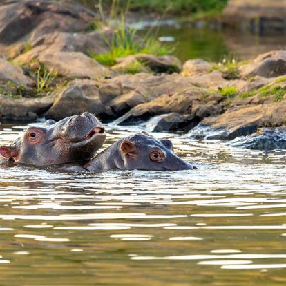 A Découvrir en Afrique du Sud - Le Parc National de Pilanesberg