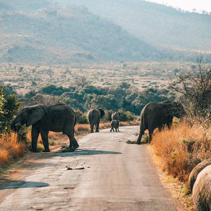 A Découvrir en Afrique du Sud - Le Parc National de Pilanesberg