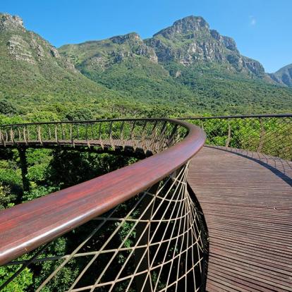 Le Cap - Kirstenbosch botanical gardens A Découvrir en Afrique du Sud - Le Cap