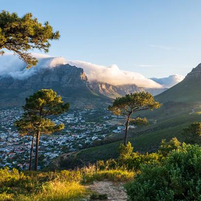 A Découvrir en Afrique du Sud - Le Cap