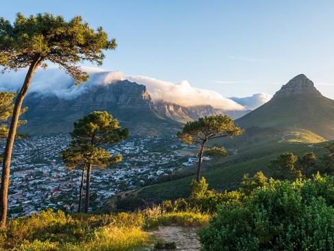 A Découvrir en Afrique du Sud - Le Cap
