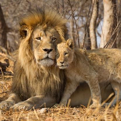 A Découvrir en Afrique du Sud - Le Parc National de Kruger