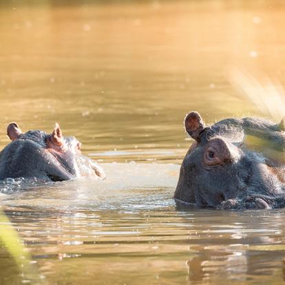 A Découvrir en Afrique du Sud - Le Parc National de Kruger