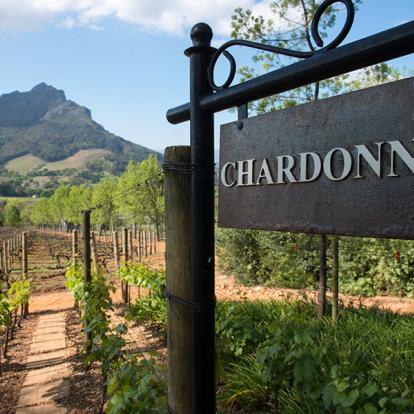 Stellenbosch A Découvrir en Afrique du Sud - Winelands