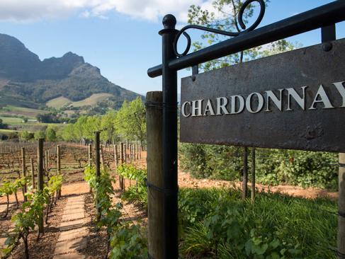 Stellenbosch A Découvrir en Afrique du Sud - Winelands