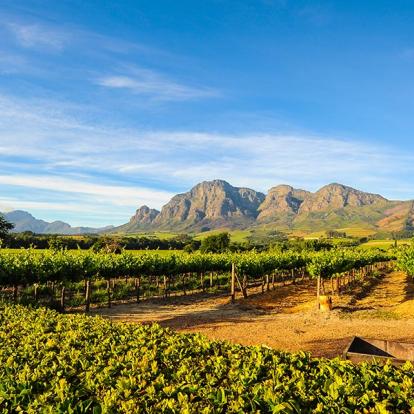 Stellenbosch A Découvrir en Afrique du Sud - Winelands