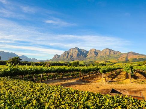 Stellenbosch A Découvrir en Afrique du Sud - Winelands